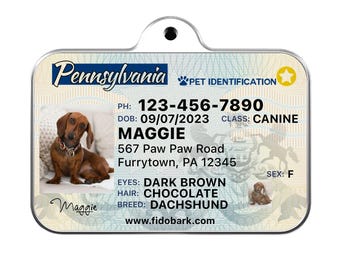 Pennsylvania Pet ID Tag: Custom Driver License Dog Tag