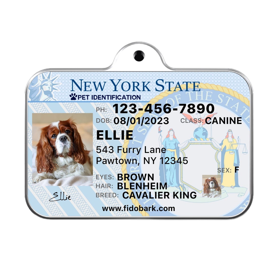 Dog tag looks like license discount