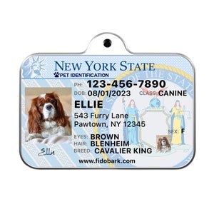 Dog License Tag ID - Personalized Pet Driver License Id - Dog State ID - Custom Dog ID Tags - New York
