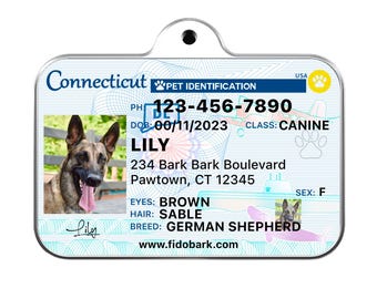 Connecticut Pet ID Tag: Custom Driver License Dog Tag