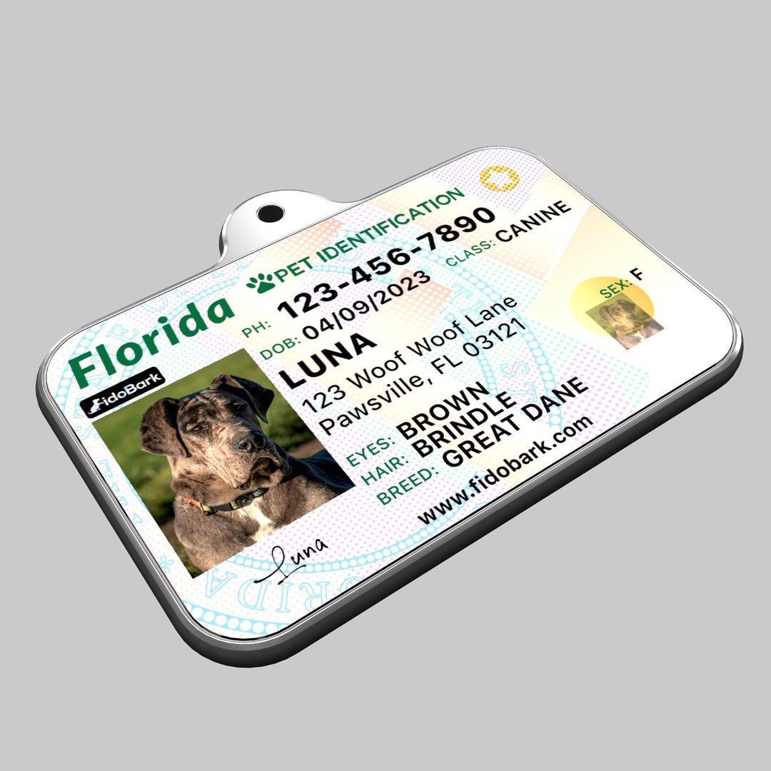 Personalized Florida Driver's License Pet Tag Your Pet's Own ID From