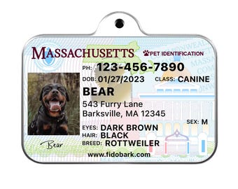 Massachusetts Pet ID Tag: Custom Driver License Dog Tag