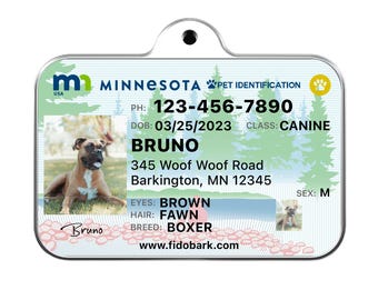 Minnesota Pet ID Tag: Custom Driver License Dog Tag