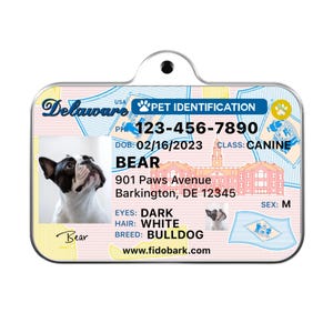 Delaware Driver License Pet ID Tag: Custom Dog Tag
