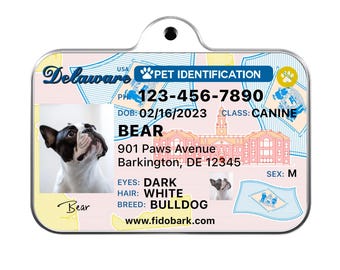 Delaware Driver License Pet ID Tag: Custom Dog Tag