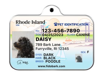 Rhode Island Pet ID Tag: Custom Driver License Dog Tag