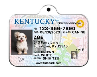 Kentucky Pet ID Tag: Custom Driver License Dog Tag