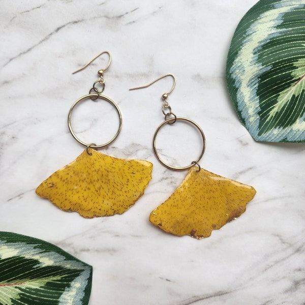 Golden Gingko I: Gold Tone Earrings with Real Gingko leaves Preserved in Resin, Dangle Earrings, Cottage-core, Boho Jewelry, Pressed Leaf