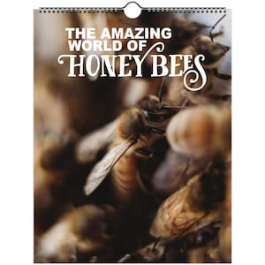 Amor por las abejas: Calendario de 12 meses con imágenes y datos fascinantes