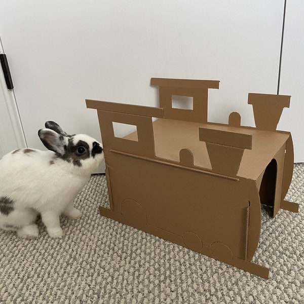 Petit tunnel pour animaux de compagnie en carton pour moteur de train