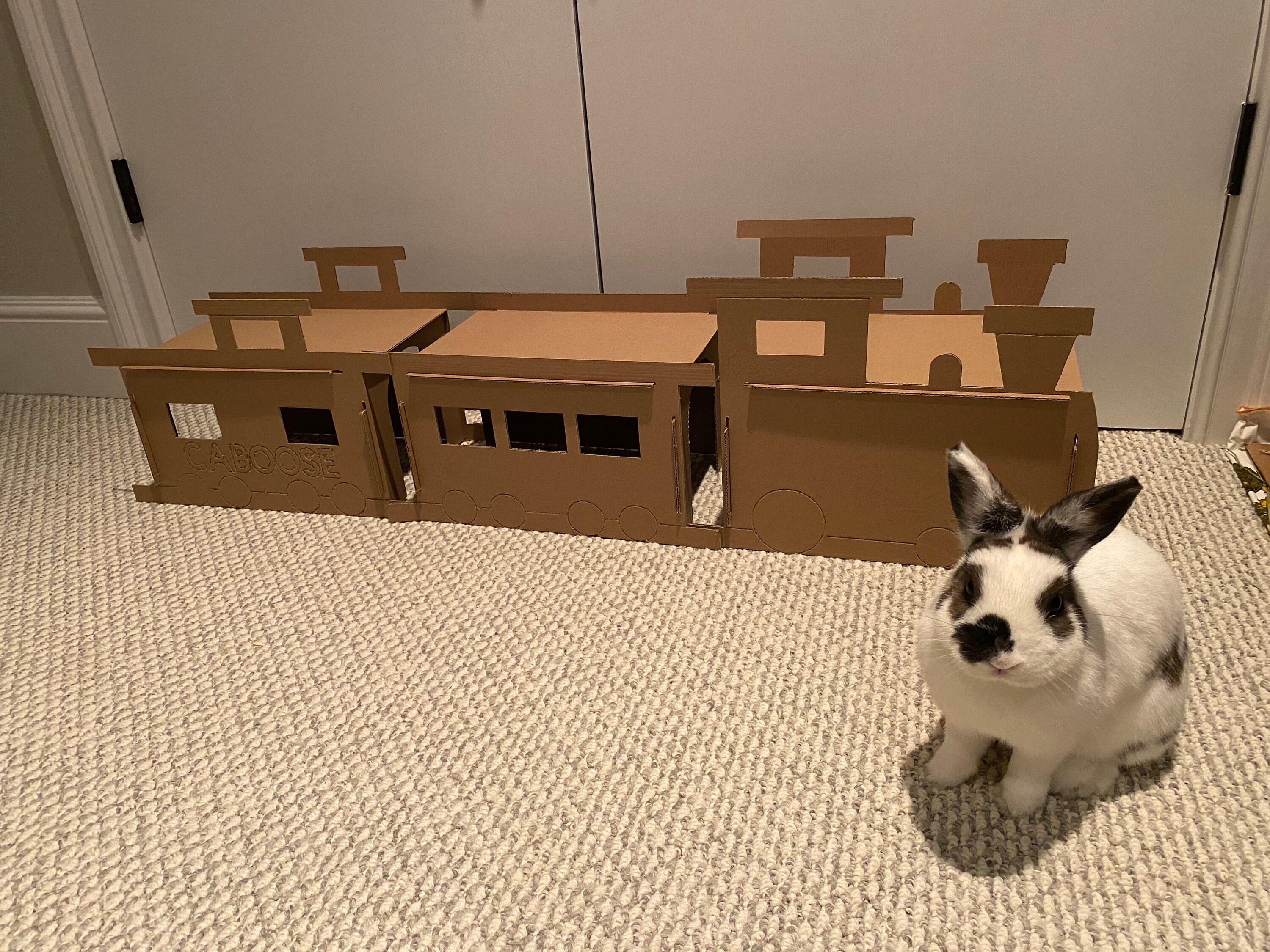 Train Car Cardboard Tunnel for Rabbits, Hamsters, and Other Small Pets