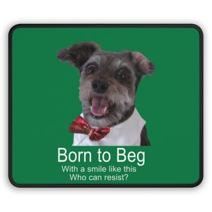 May include: A green mousepad with a black border features a small, gray dog wearing a white shirt and a red bow tie. The dog is smiling and the text "Born to Beg" is written below the dog. The text "With a smile like this Who can resist?" is written below the first line of text.