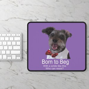 May include: A purple mousepad with a black border featuring a small, gray dog wearing a red bow tie. The dog is smiling and the text "Born to Beg" is written below the dog. The text "With a smile like this" is written below the first line of text and the text "Who can resist?" is written below the second line of text.
