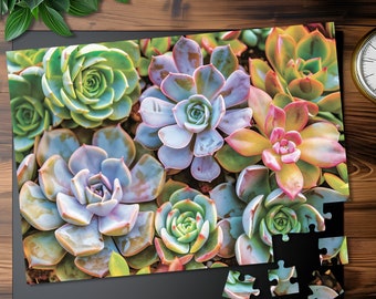 Succulent Jigsaw Puzzle: Vibrant Adult Family Puzzle