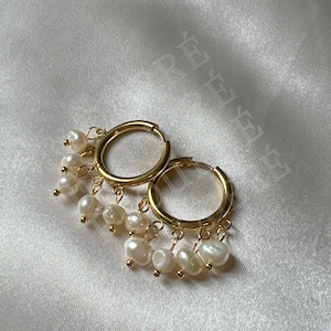 Small fresh water pearl stainless steel 18k gold plated hoop lenora earrings