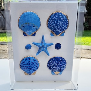 May include: A framed coastal art piece featuring blue seashells, a starfish, and a small round object. The shells have gold trim and intricate blue patterns. The artwork is encased in a clear acrylic box, creating a modern display.