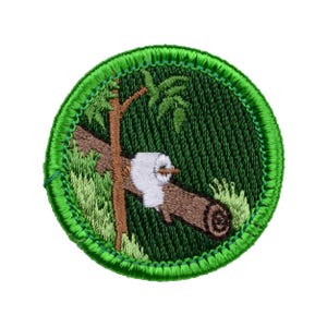 Puede incluir: Parche bordado que representa un pájaro blanco posado en un tronco marrón, rodeado de follaje verde y un árbol. El parche tiene un borde verde y un fondo verde oscuro texturizado.