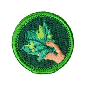 Puede incluir: Parche bordado circular con borde verde y fondo verde oscuro. Representa una mano beige sosteniendo una hoja verde y amarilla. La hoja tiene vetas detalladas.