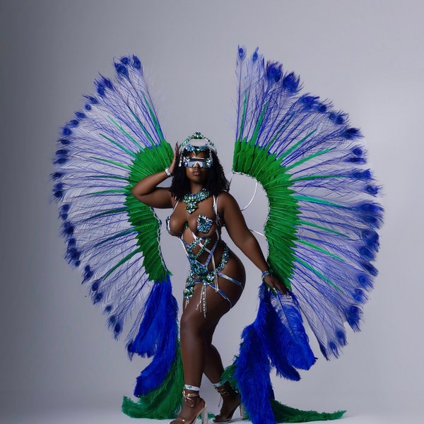 Caribana Toronto Caribbean Carnival Costume 2024