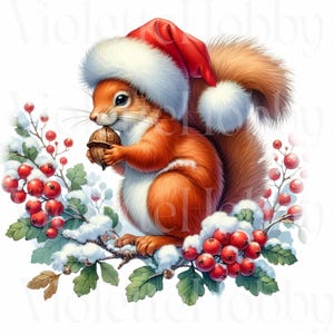 Ensemble de cliparts PNG écureuil de Noël | Écureuils des Fêtes en bonnets de Noel | Illustrations de baies d'hiver | Téléchargement numérique | Utilisation commerciale