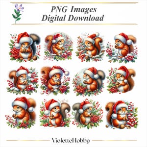 May include: Twelve digital images of cute cartoon squirrels wearing Santa hats and holding nuts. The squirrels are surrounded by red berries and green foliage.  PNG Images Digital Download.