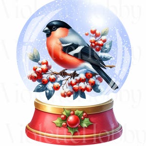Weihnachts Dompfaff Traum PNG PNG Netzwerkarbeit | Festival Winter Vogel Illustrationen | Sofortiger digitaler Download | Kommerzielle Nutzung| 12 PNG
