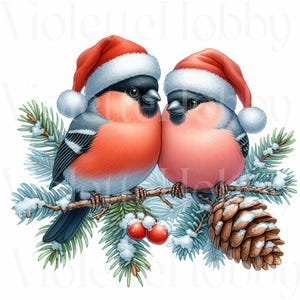 Chapins de inverno com chapéus de Papai Noel - Arte digital - Scrapbooking, criação de cartões, convites | Uso comercial | 12 PNG