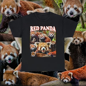 Camiseta vintage de panda rojo • Camiseta pirata con gráfico retro de los años 90 • Camiseta linda de animales de alta calidad • Regalo unisex para hombres y mujeres