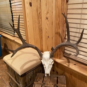 Mule Deer Rack ~ Antlers ~ Decor
