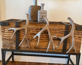 3 - 5pt Mule Deer Sheds ~ Antlers ~ Decor