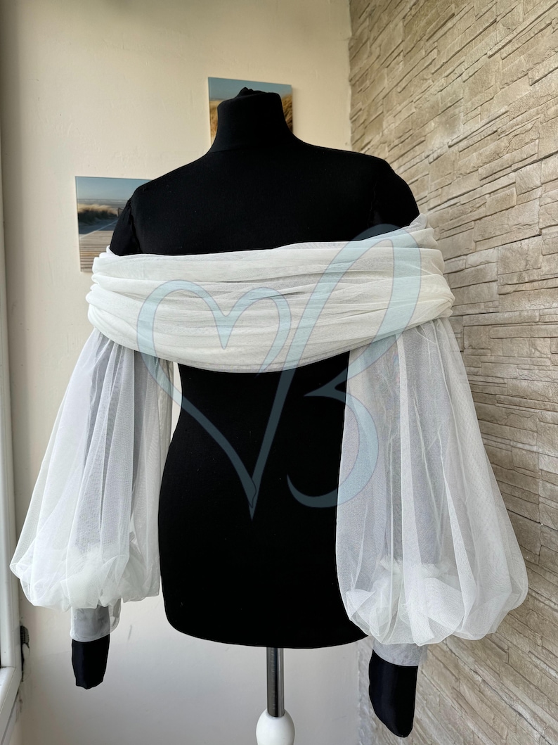 May include: White off-the-shoulder top with long, puffy sleeves made of sheer mesh fabric.
