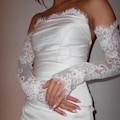 Lace Bridal Sleeves and Neck Trim, Wedding Sleeve & Lace Border, Chantilly  Gloves Fingerless product logo