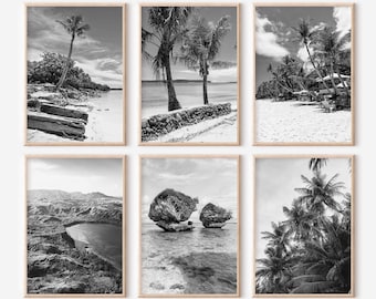 May include: Six framed black and white photographs of tropical beach scenes. The images feature palm trees, sandy beaches, and ocean views. The frames are a light wood color.
