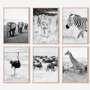 Ngorongoro Crater Tanzania Prints Set of 6 | Black and White Photos Posters | Travel Photography Wall Art Gallery