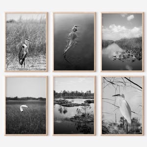 Everglades Nationalpark Florida Drucke 6er-Set | Schwarzweiß-Fotos Poster | Reise-Fotografie Wall Art Gallery