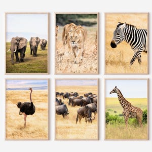 Ngorongoro Crater Tanzania Prints Set of 6 | Colour Photos Posters | Travel Photography Wall Art Gallery