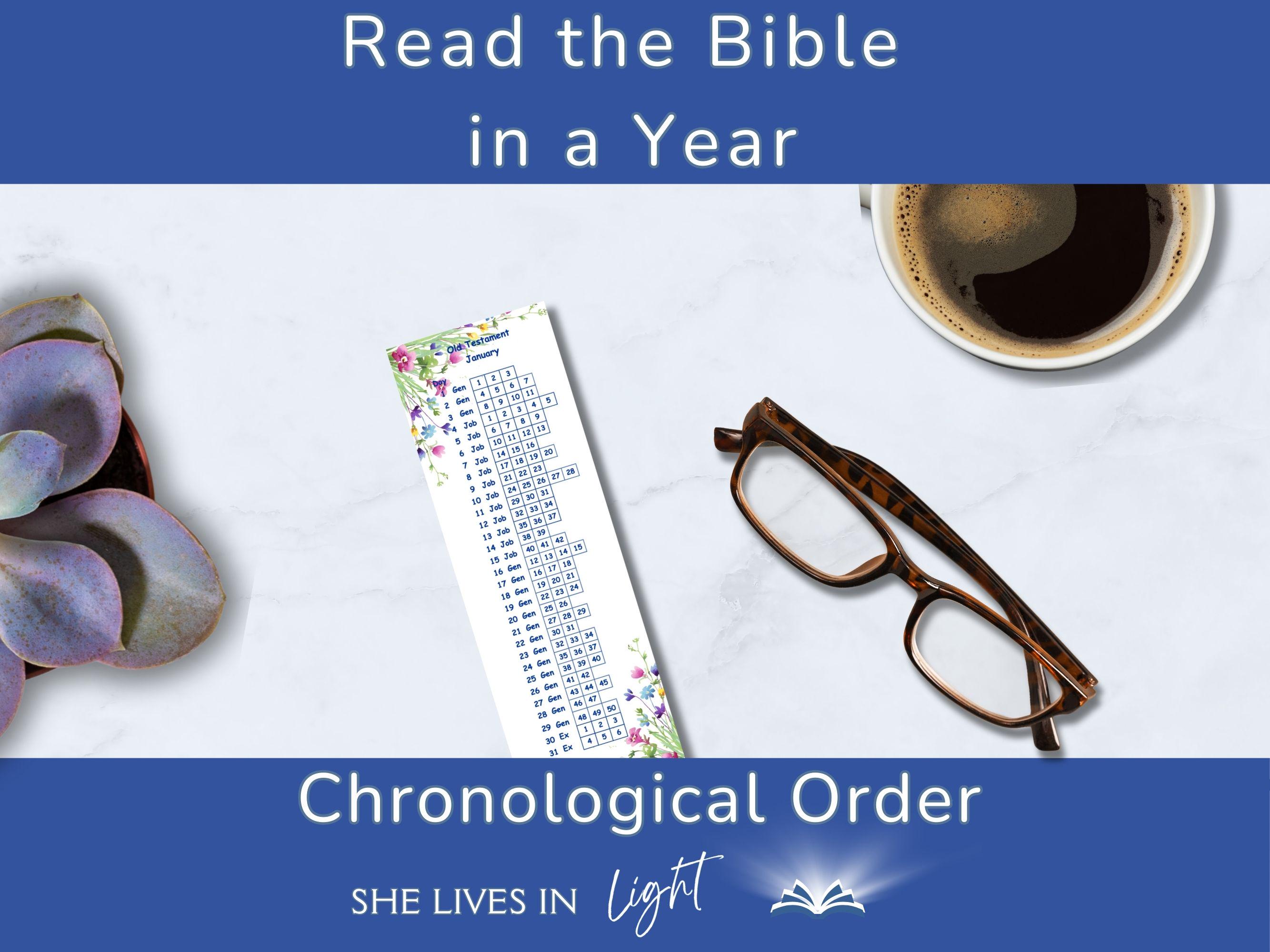 Bible Reading Tracker Bookmarks - 365 Day - Etsy