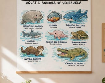 Aquatic Animals of Venezuela Bilingual Poster | Spanish English Educational Print | Bilingual Nursery | Kids Room Decor | Instant Download