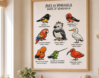 Birds of Venezuela Bilingual Poster | Spanish English Educational Print | Bilingual Nursery | Kids Room Decor | Instant Download