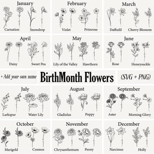 Pacote de SVG de mês de nascimento | SVG de flores | SVG de flores de nascimento | SVG floral | SVG botânico | SVG de rosas | SVG de margaridas | SVG de papoula | SVG de aniversário | SVG