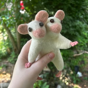 two headed mouse with button eyes