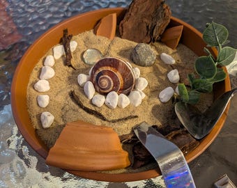 Snail Shell Zen Garden - Handmade Mini Oasis for Calm and Creativity