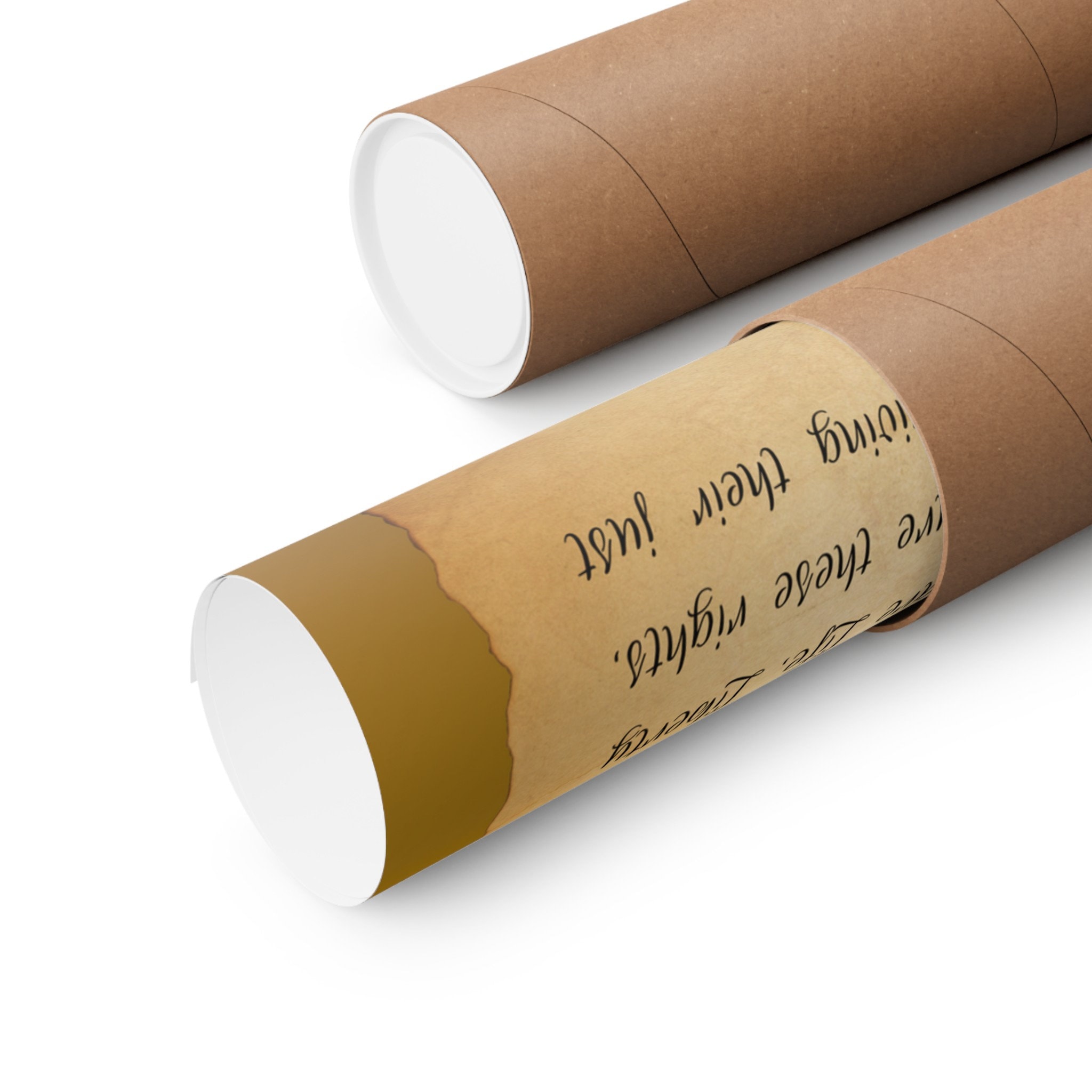 Declaration of Independence Famous First Paragraphs Matte Vertical ...