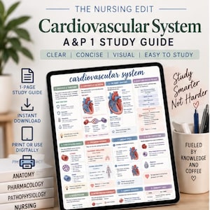 Peut inclure: Une tablette numérique affiche un guide d'étude sur le système cardiovasculaire A&P 1 avec des schémas anatomiques et du texte. L'écran présente des sections sur l'anatomie cardiaque, les vaisseaux sanguins et la circulation. Un mug porte le texte Fueled by Knowledge and Coffee.