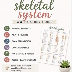 May include: A skeletal system study guide for A & P 1 students featuring a list of uses including nursing students, exam preparation, and quick reference. The document displays anatomical diagrams of bones with text and a small green succulent.