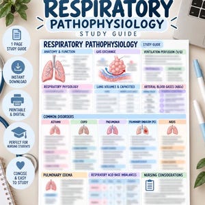 May include: A Respiratory Pathophysiology study guide featuring sections on anatomy, gas exchange, and common disorders like asthma, COPD, and pneumonia. The document includes illustrations of lungs and alveoli, organized with clear headings and bulleted text.