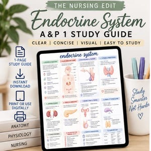 May include: A digital tablet displays an Endocrine System A&P 1 study guide with anatomical diagrams and text. The screen shows twelve sections covering glands and functions. Text on the screen includes The Nursing Edit and Study Smarter Not Harder.