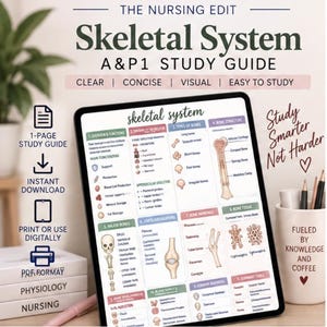Sistema Esquelético | Guia de Estudo de Anatomia e Fisiologia 1 | Material para Impressão do Aluno