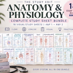 May include: A bundle of 18 anatomy and physiology study sheets featuring text and diagrams of human body systems. The header reads THE STUDY EDIT ANATOMY & PHYSIOLOGY COMPLETE STUDY SHEET BUNDLE. Includes a stethoscope and a cup with text.