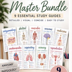 以下が含まれることがあります： A&P 2 Master Bundleと題された9つの学習ガイドセット。外皮系、骨格系、筋系、神経系、内分泌系、循環器系、呼吸器系、泌尿器系、生殖器系の解剖学的図解が記載されています。